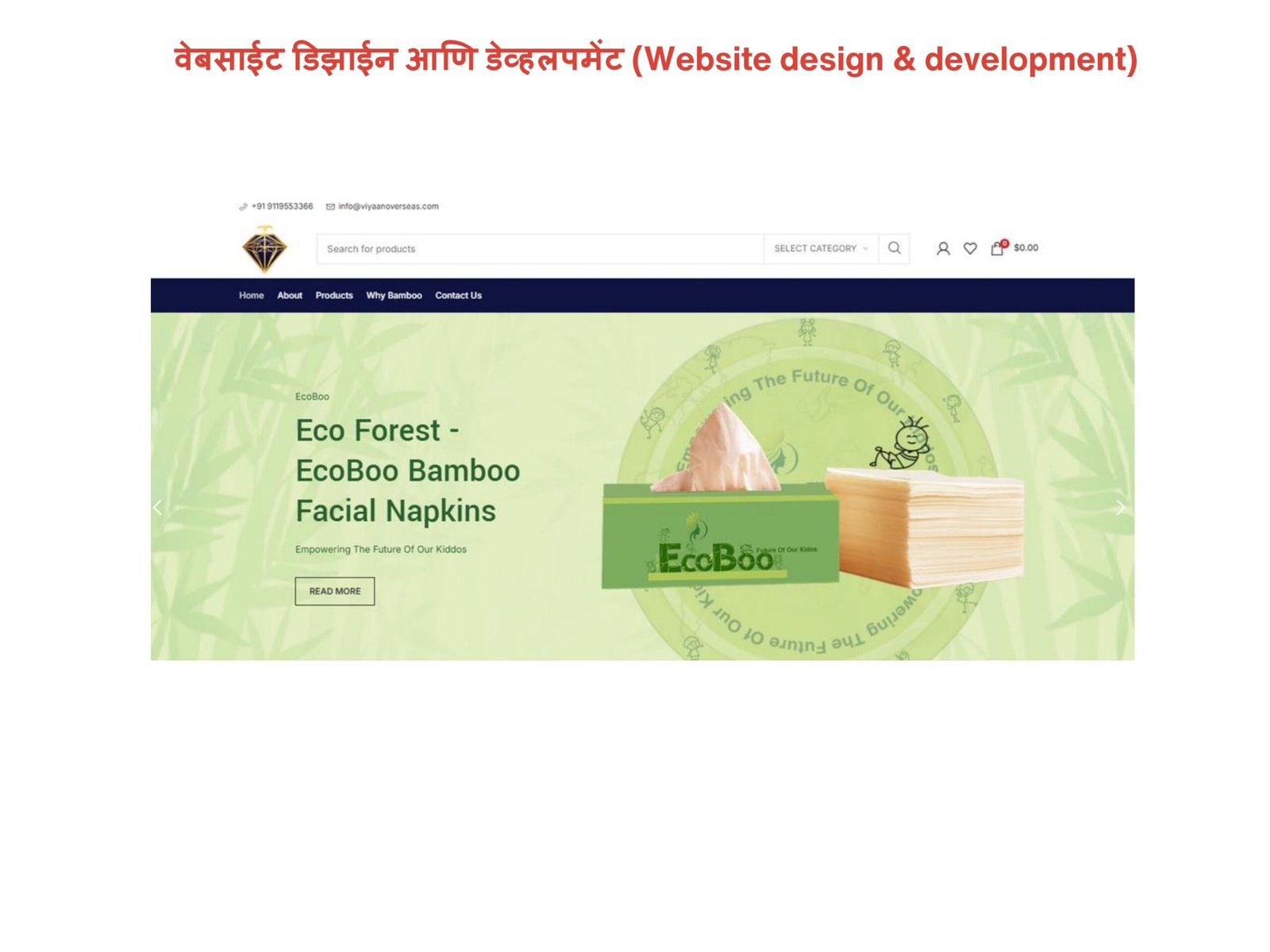 Website Design and Development